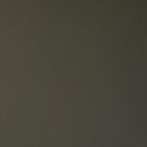 Meet your Posher, Shane